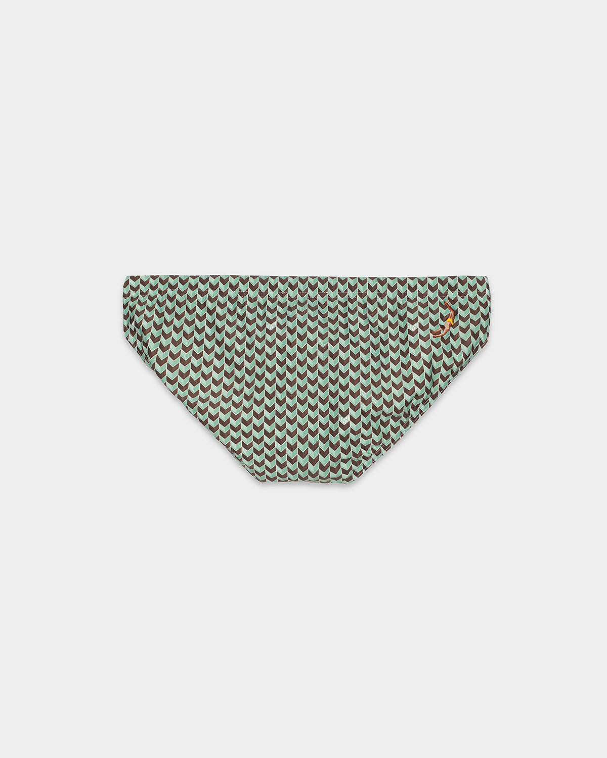 Sage Grains Swim Brief