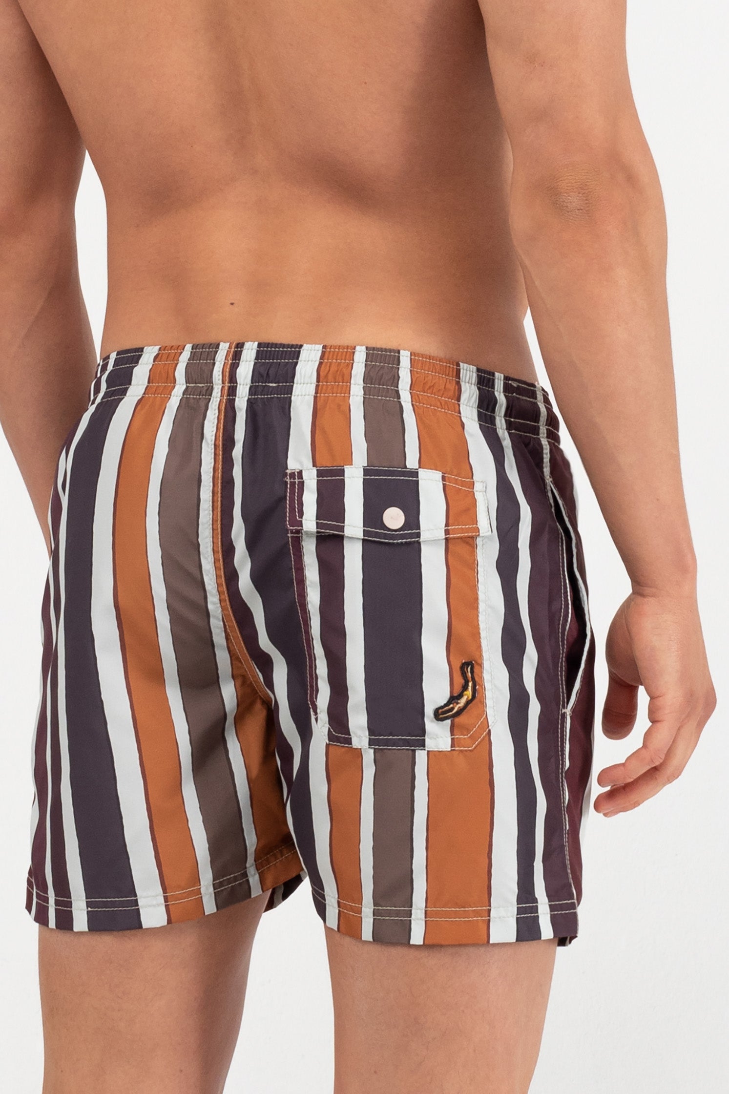 Brown Baiadera Swim Shorts