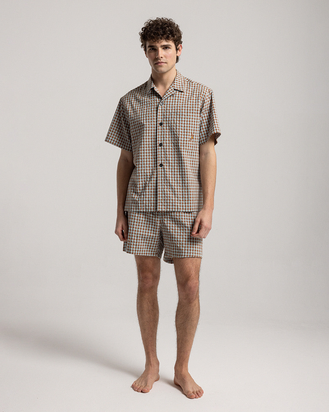 Brown Vichy Seersucker Shirt