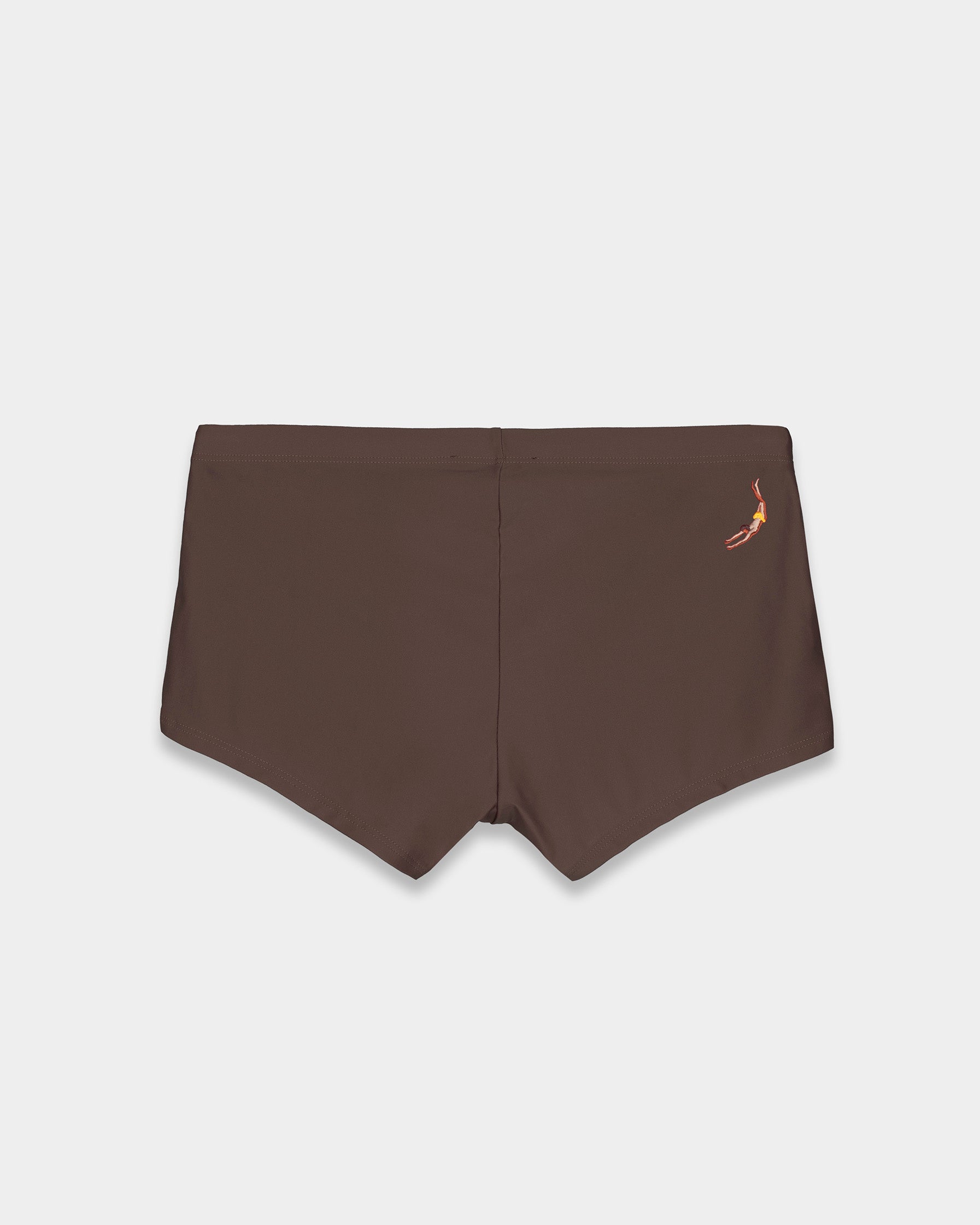Brown Box Swim Brief